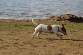 IMG 0391